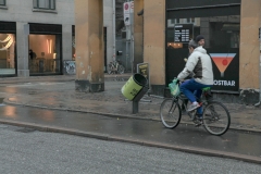 Cycling_Denmark_Copenhagen_Nikola-Medimorec-1