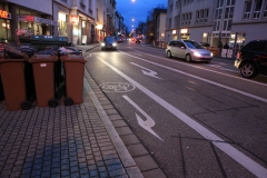 Cycling_Germany_Freiburg_Nikola-Medimorec-5