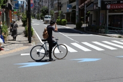 Cycling_Japan_Tokyo_Nikola-Medimorec-3