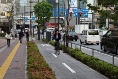 Cycling_Japan_Tokyo_Nikola-Medimorec-6