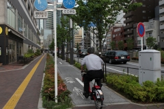 Cycling_Japan_Tokyo_Nikola-Medimorec-9