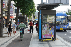 Cycling_Korea_Seoul_Nikola-Medimorec-10