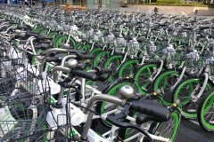 Cycling_Korea_Seoul_Nikola-Medimorec-2