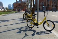 Cycling_Shanghai_Nikola-Medimorec-1