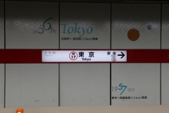 Subway_Japan_Tokyo_Nikola-Medimorec-1